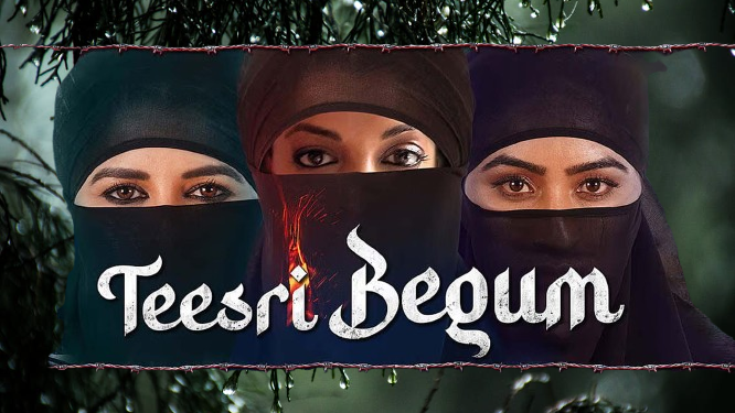 Teesri Begum Movie 2026 Movierulez Review Details